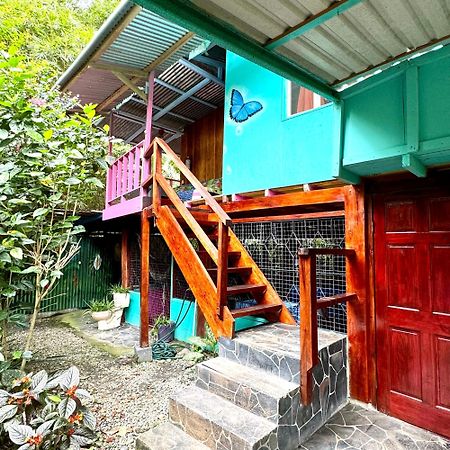 Hidden Jungle Beach House Puerto Viejo de Talamanca エクステリア 写真