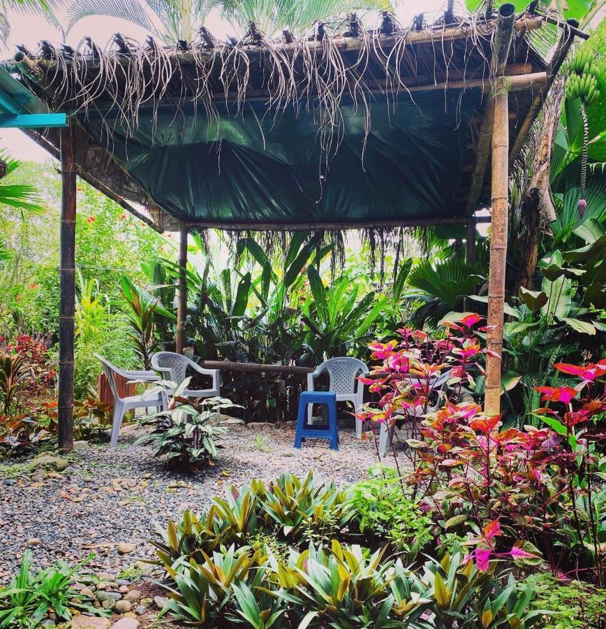 Hidden Jungle Beach House Puerto Viejo de Talamanca エクステリア 写真