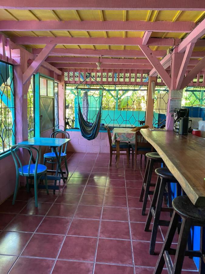Hidden Jungle Beach House Puerto Viejo de Talamanca エクステリア 写真