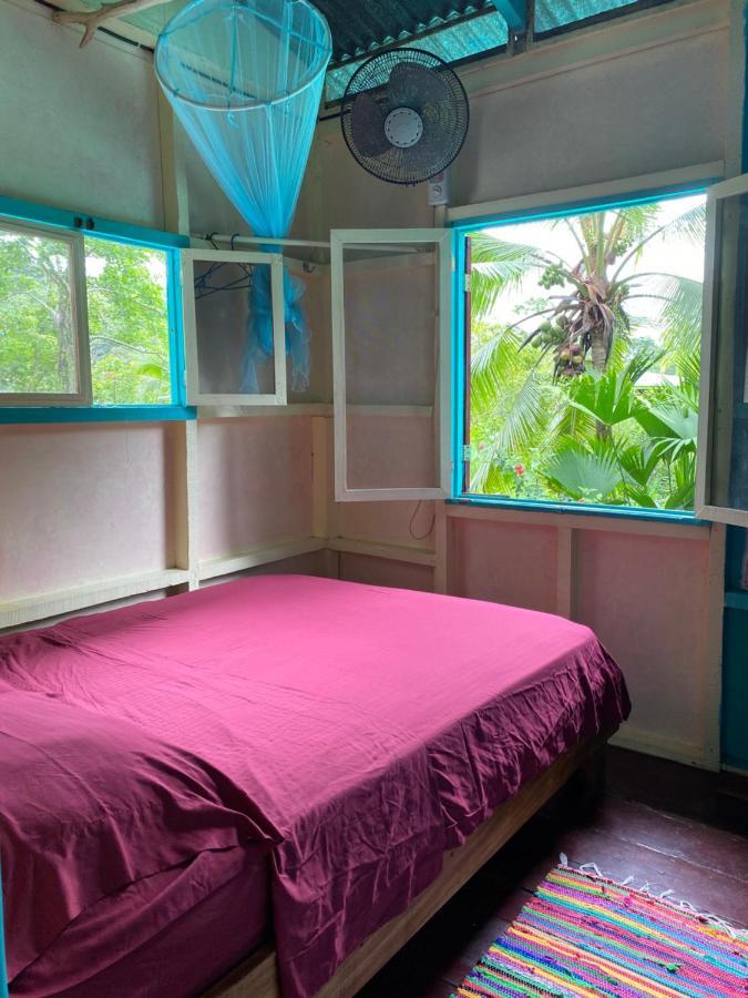 Hidden Jungle Beach House Puerto Viejo de Talamanca エクステリア 写真
