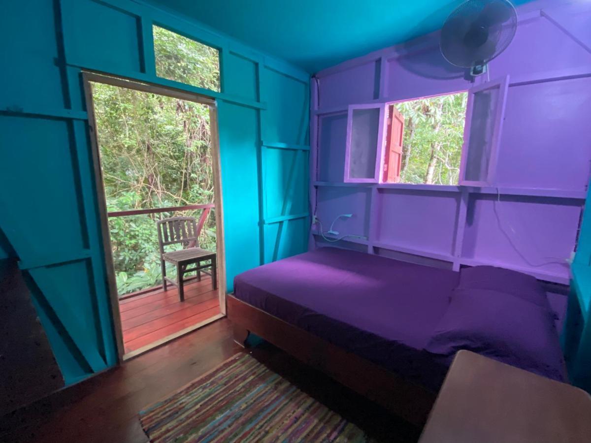Hidden Jungle Beach House Puerto Viejo de Talamanca エクステリア 写真
