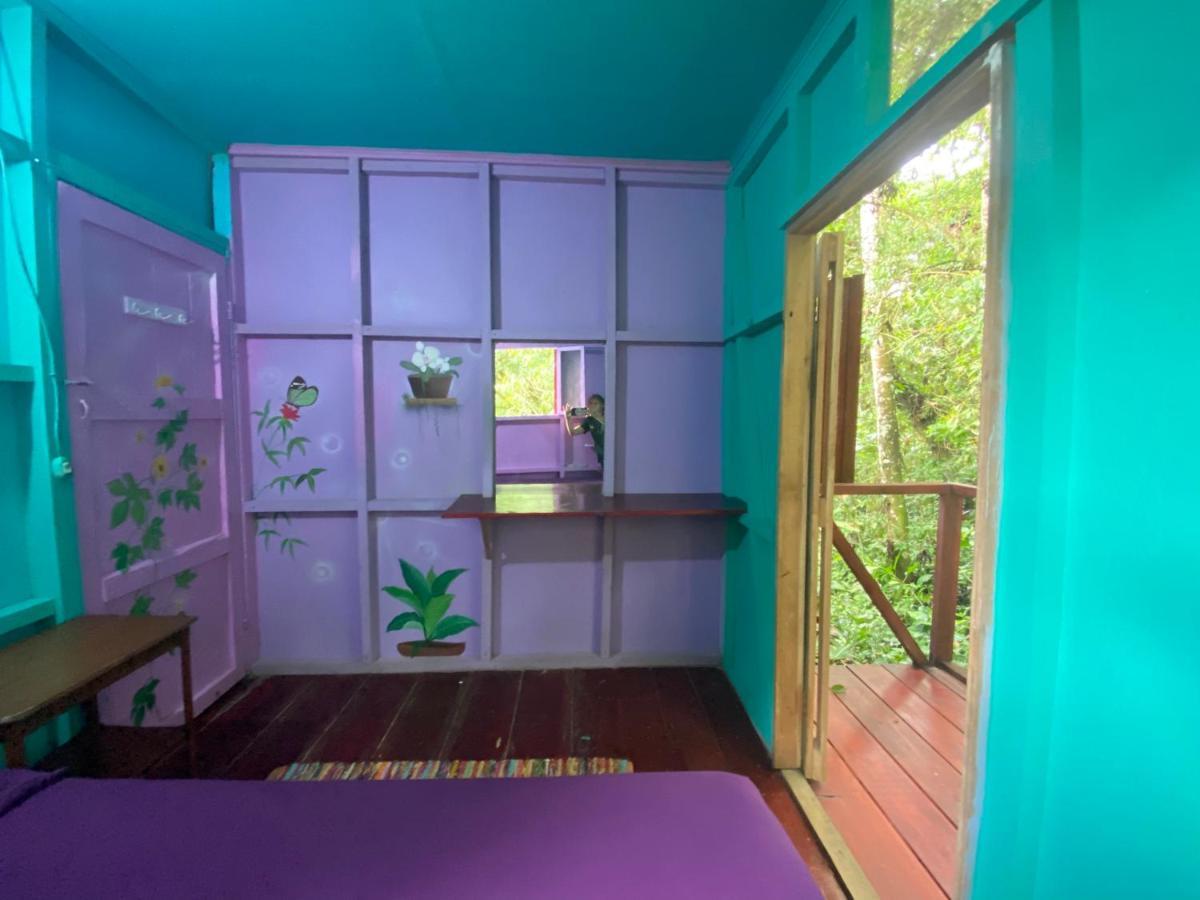 Hidden Jungle Beach House Puerto Viejo de Talamanca エクステリア 写真