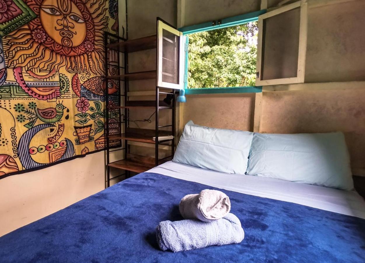 Hidden Jungle Beach House Puerto Viejo de Talamanca エクステリア 写真