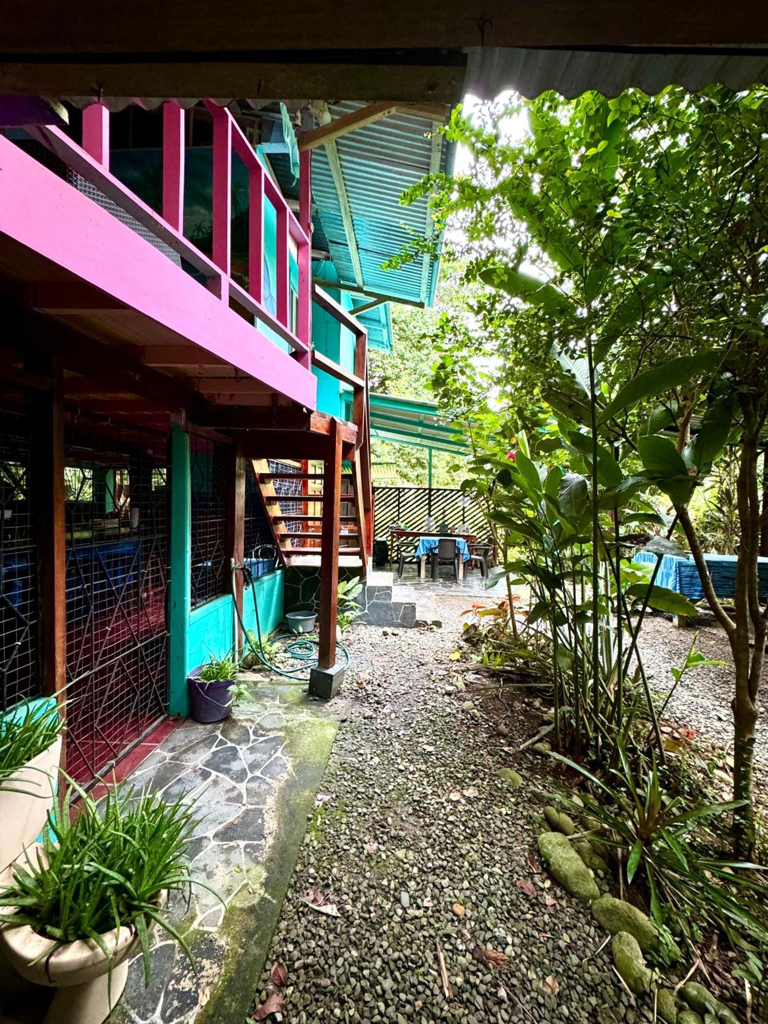 Hidden Jungle Beach House Puerto Viejo de Talamanca エクステリア 写真