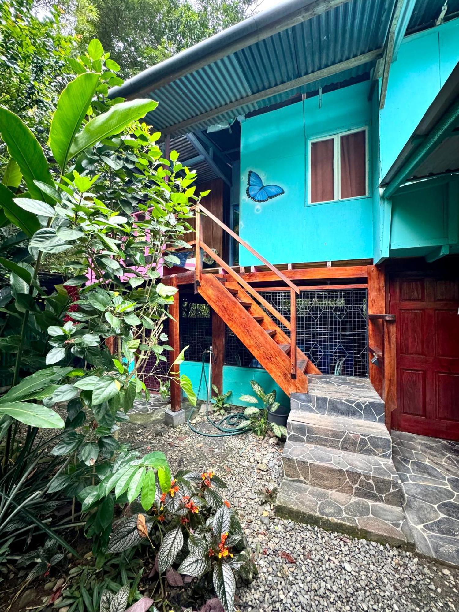 Hidden Jungle Beach House Puerto Viejo de Talamanca エクステリア 写真