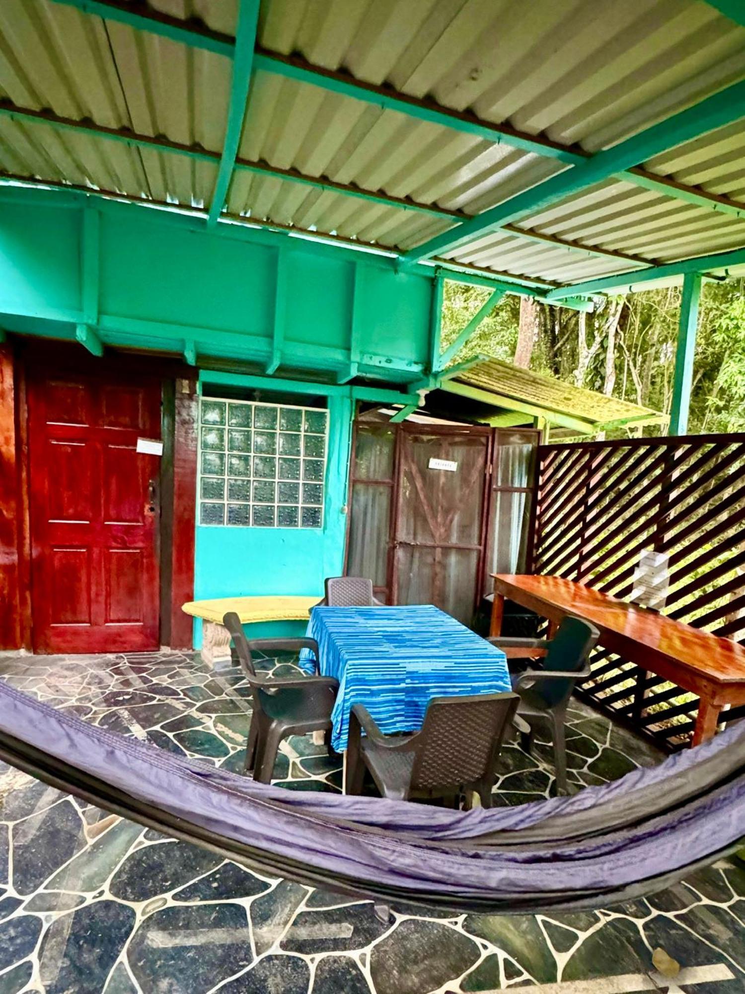 Hidden Jungle Beach House Puerto Viejo de Talamanca エクステリア 写真