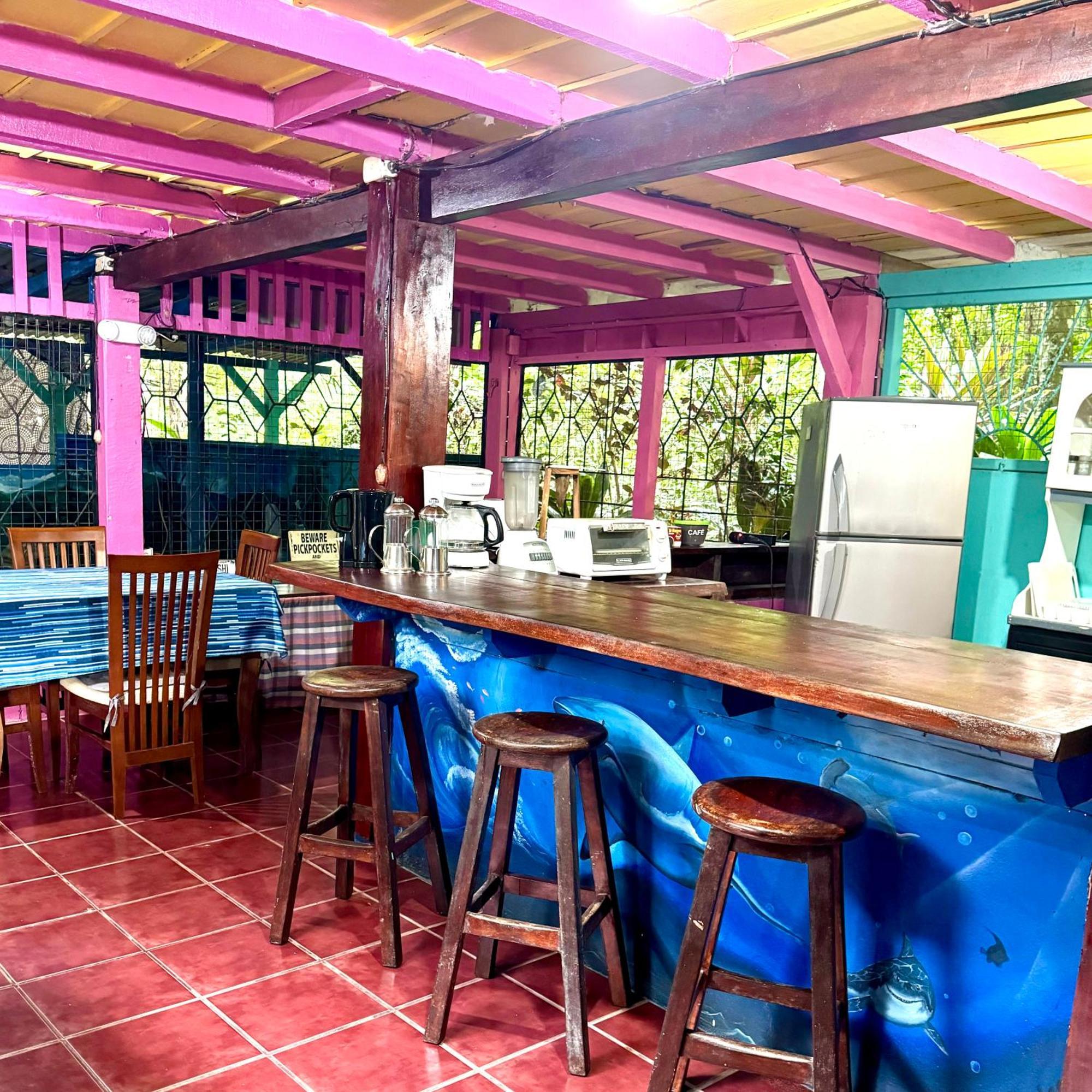 Hidden Jungle Beach House Puerto Viejo de Talamanca エクステリア 写真