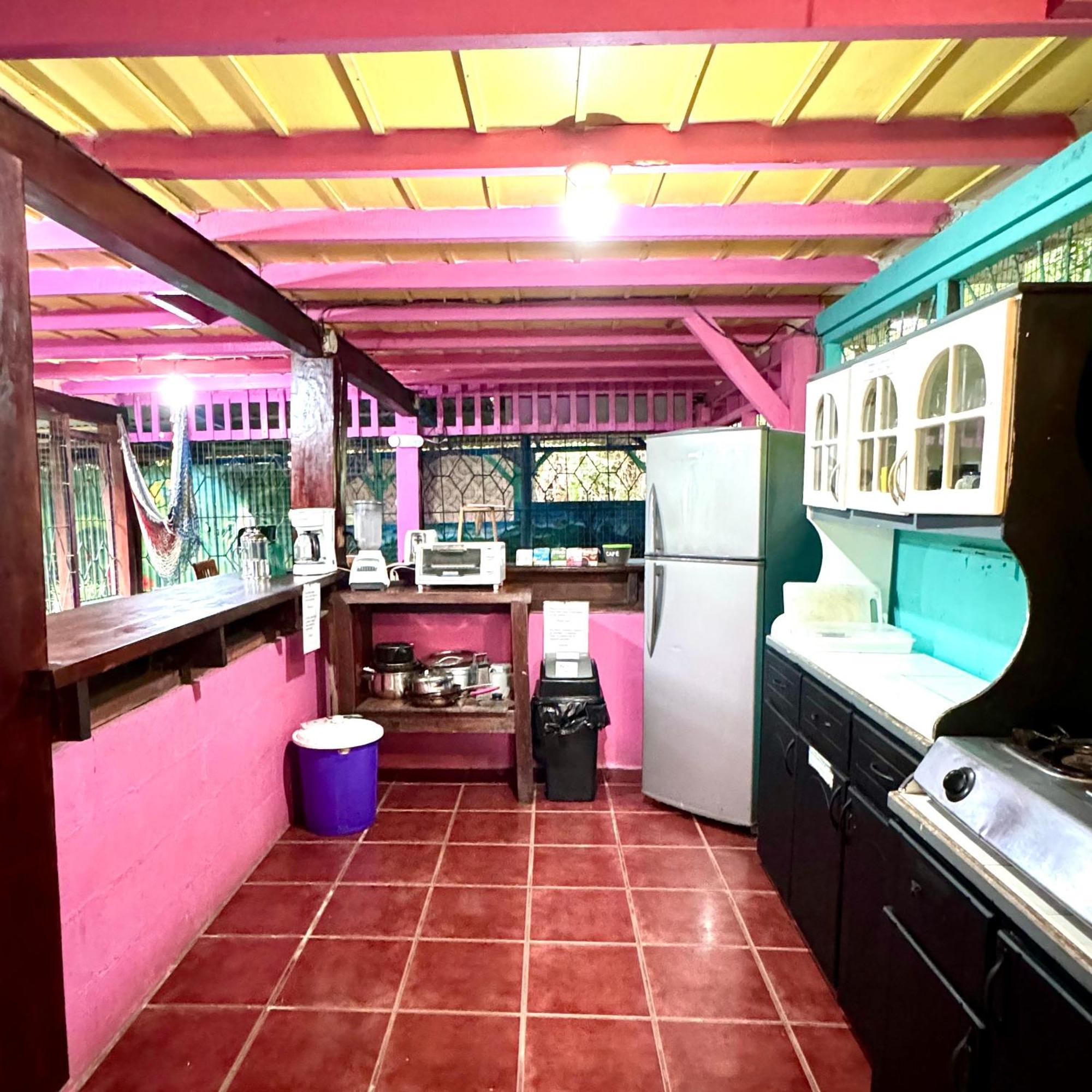 Hidden Jungle Beach House Puerto Viejo de Talamanca エクステリア 写真
