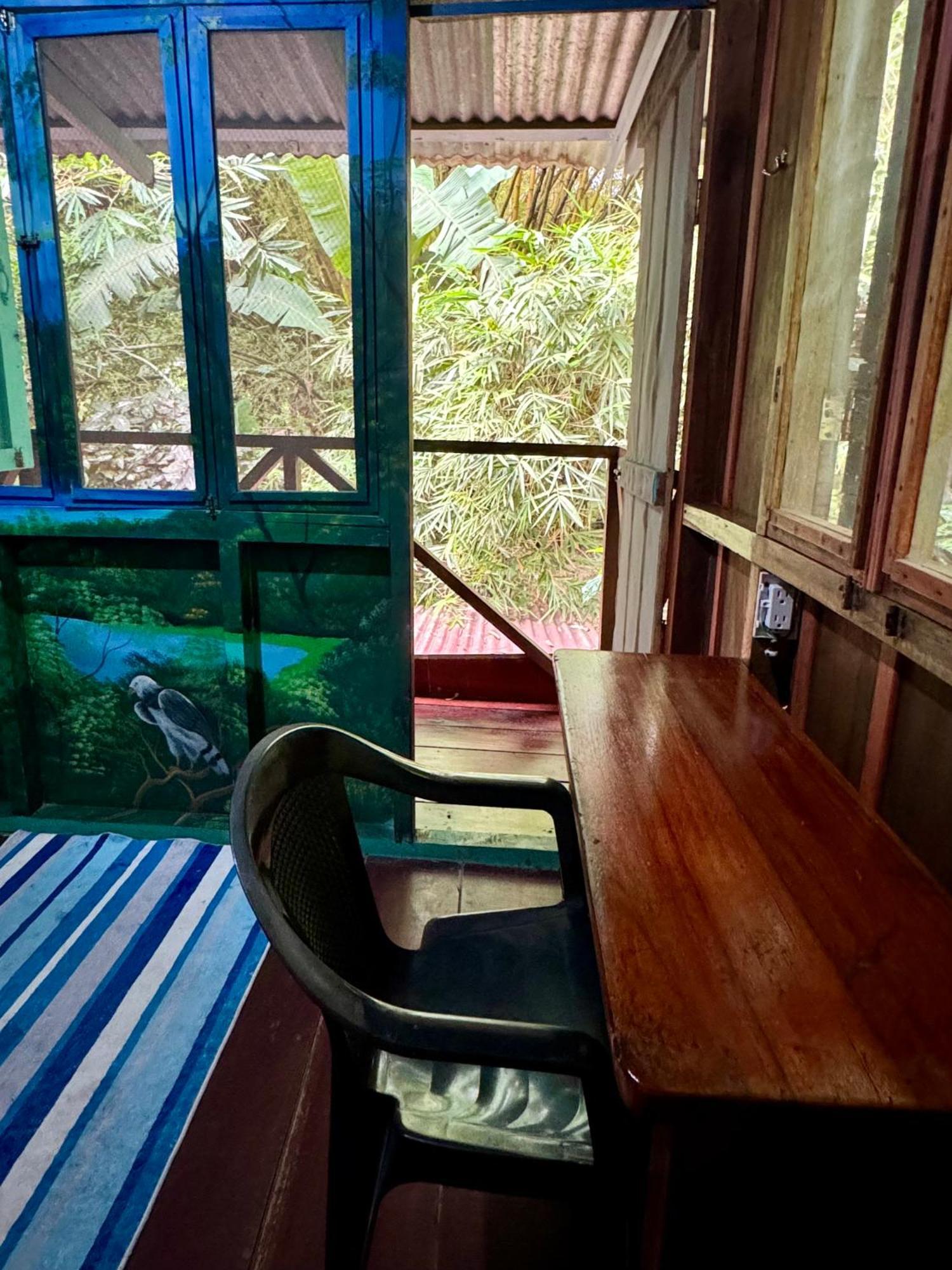 Hidden Jungle Beach House Puerto Viejo de Talamanca エクステリア 写真