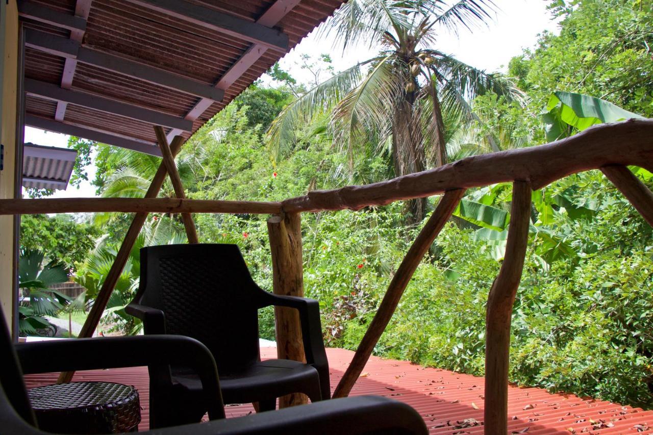 Hidden Jungle Beach House Puerto Viejo de Talamanca エクステリア 写真
